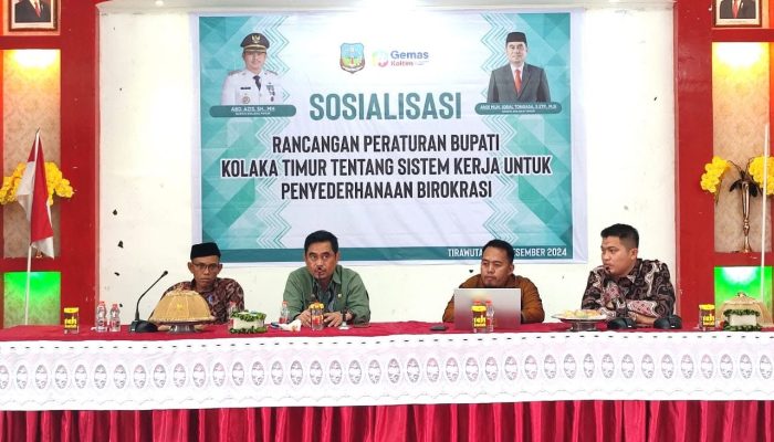 IMG 8515