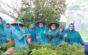 Panen Harapan dari Pekarangan: TP PKK Sultra Dorong Ketahanan Pangan Keluarga di Bombana