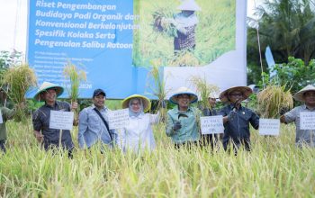 Menuju Indonesia Emas 2045, PT Vale Kembangkan Pertanian Presisi di Kolaka